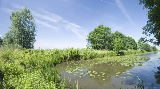 Natuurvriendelijke oevers