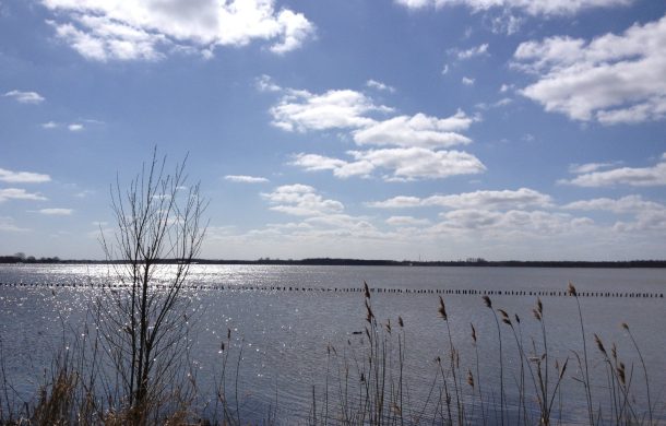 Ecologische verbetering oevers Oldambtmeer