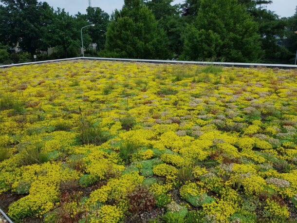 Biodiversiteit op en bij onze locaties