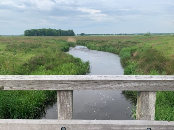 Biodiversiteit in en bij ons water