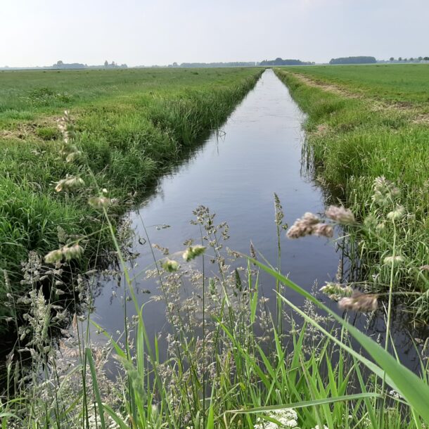 Water- en natuuropgaven Amerdiep