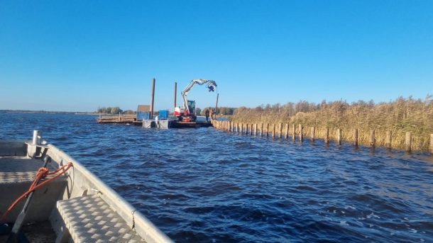 Revitalisatie rietoevers Zuidlaardermeer