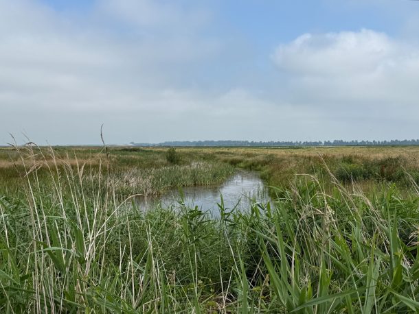 Herstel Exloosche Landen